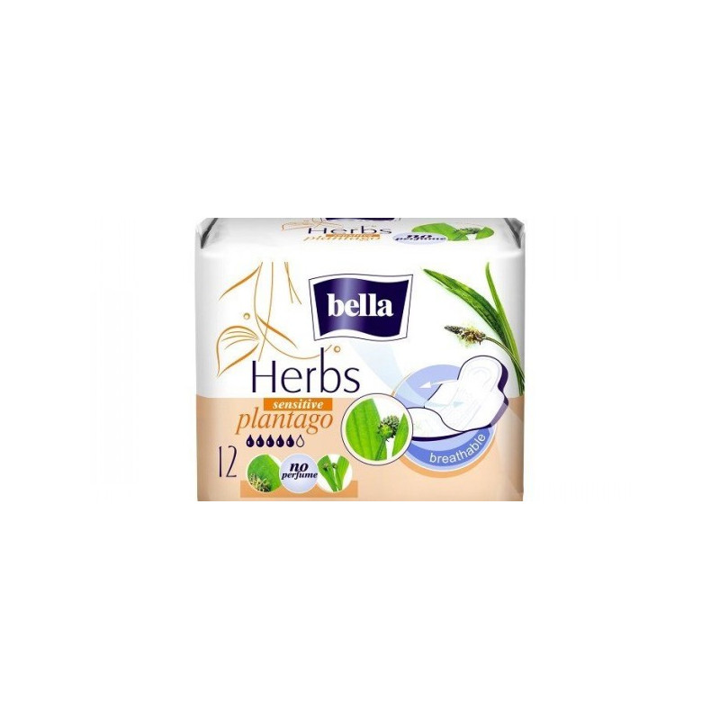 Bella herbs sensitive plantago ulosci A12