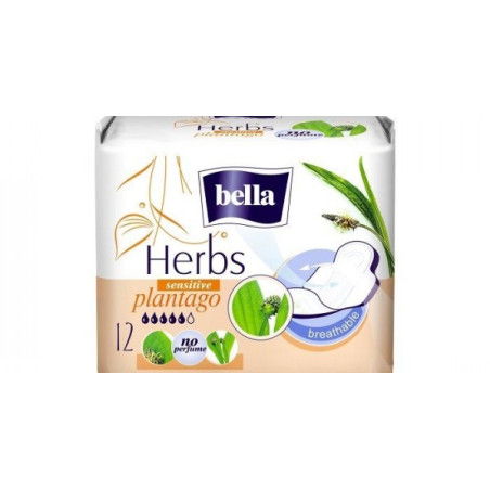 Bella herbs sensitive plantago ulosci A12